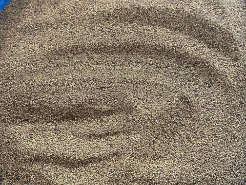 Lucerna mag Lucerna mag