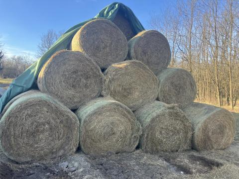 Széna bála Széna bála