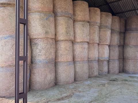 Széna bála eladó