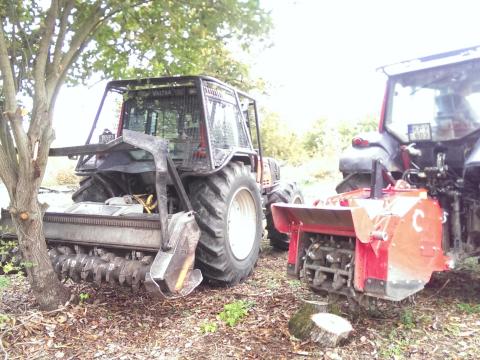 Bozótirtás, cserjeirtás, tuskómarás