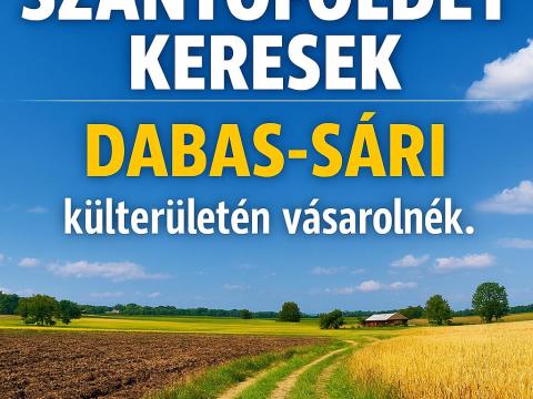 Szántóföldet vásárolnék Dabas-Sári külterületén