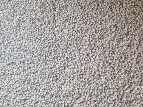 Nelly 2. fokú csillagfürt eladó Nelly 2. fokú csillagfürt eladó