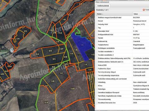 Eladó osztatlan erdő Hangácson