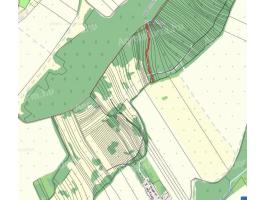 Szőlő és gyümölcsös eladó Balajton