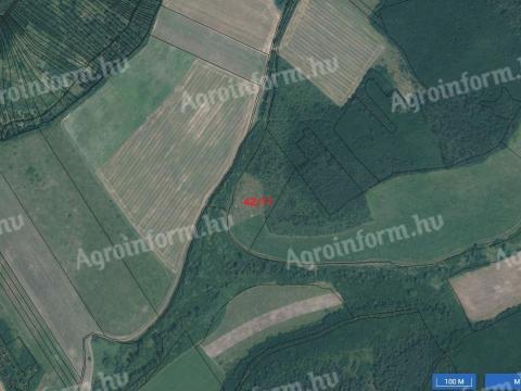 Szántó, legelő, fásított terület Balajton