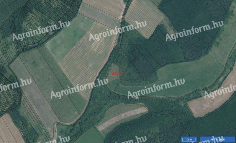 Szántó, legelő, fásított terület Balajton