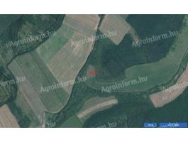 Szántó, legelő, fásított terület Balajton