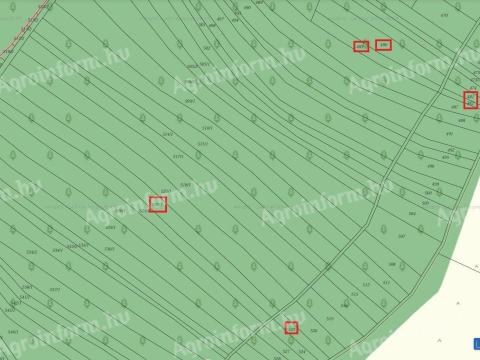 Gyümölcsös területek eladók Balajton