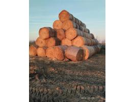 Borsó szalma eladó