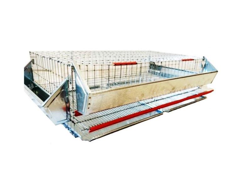 Fürjketrec 50 db-os eladó, akár postai szállítással is