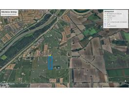 Föld eladó Szeged Tápairéten, 4,3 ha, 93,99 AK