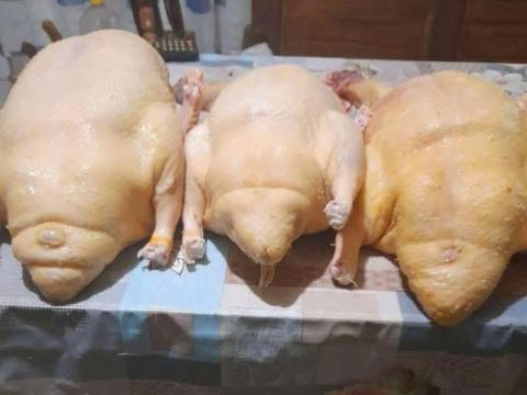 Konyhakész hízott kacsa és liba