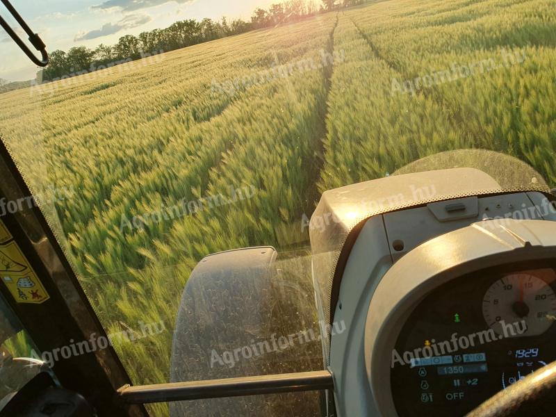 Családi gazdaságunk keres,  szántó művelési áģú földterületeket