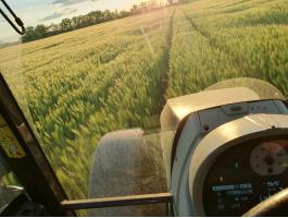 Családi gazdaságunk keres,  szántó művelési áģú földterületeket