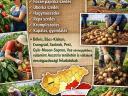 Mezőgazdasági munkákat vállalunk sokéves tapasztalattal