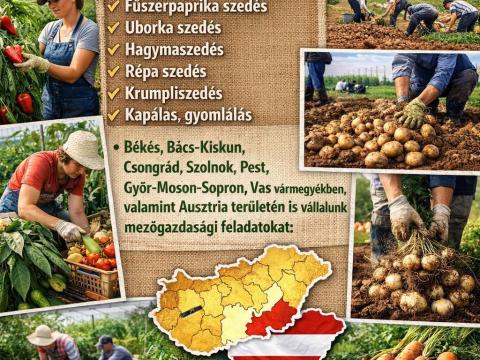 Mezőgazdasági munkákat vállalunk sokéves tapasztalattal