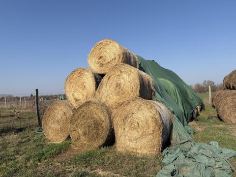 Eladó kiváló minőségű réti széna
