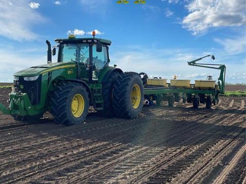 Kukorica Napraforgó vetés