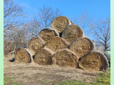 Szalma eladó