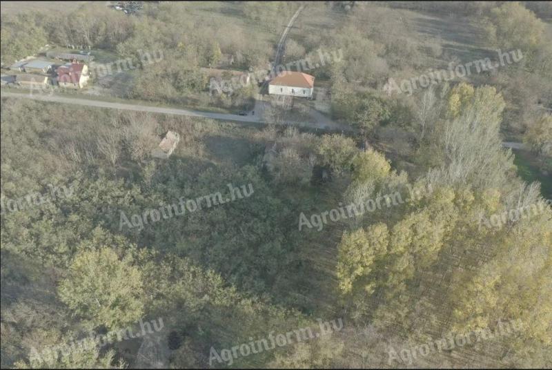 Fülöpszállás-Kurjantó, 2732 nm építési telek eladó