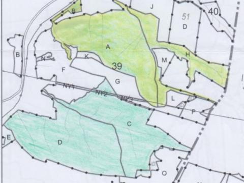 55 hektár összterületű,  1/1 tulajdonú erdőbirtok eladó Honton