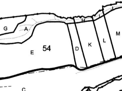 28 hektár akácos erdő eladó Nagyorosziban – 3200 m³ becsült kitermelhető fatömeggel