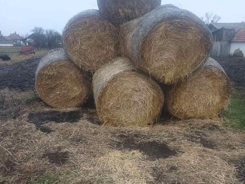 130-as szalma körbála eladó