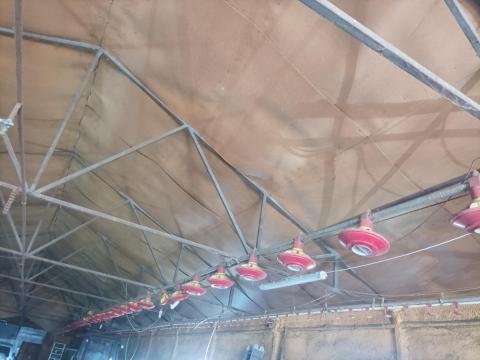 Baromfi önetető és önitató rendszer eladó