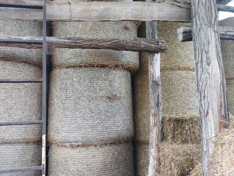 Búzaszalma eladó Búzaszalma eladó