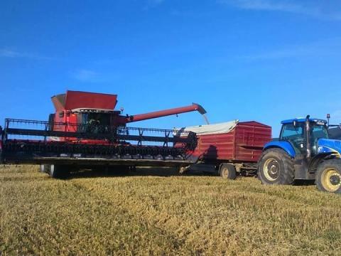 Traktoros gépész állás ! ! ! Lakás biztosított ! ! ! Pest megye.