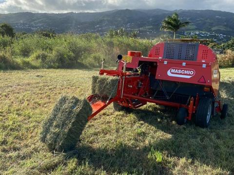 Maschio Gaspardo PITAGORA - kis szögletes bálázó