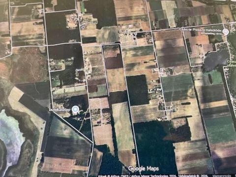 Termőföld és erdő eladó Nyíregyháza-Vadastanyánál