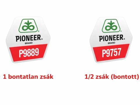 Kukorica vetőmag eladó