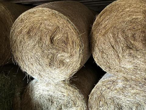 Körbálás széna