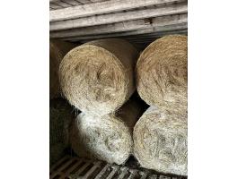 Körbálás széna