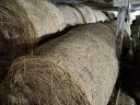 Körbálás széna
