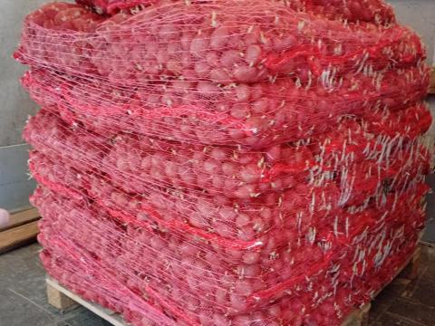 Burgonya vetőkrumpli – Esmee korai, piros héjú burgonya