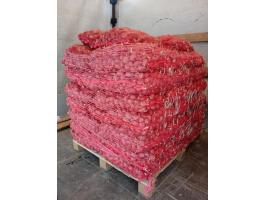 Burgonya vetőkrumpli – Esmee korai piros héjú burgonya