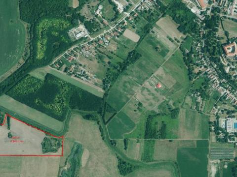 Siklós határában eladó termőföld