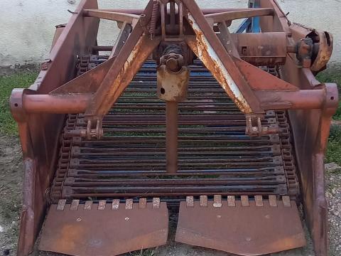 Burgonya kirázó eladó