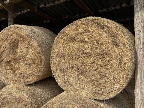 Kiváló minőségű lucerna bálák eladók