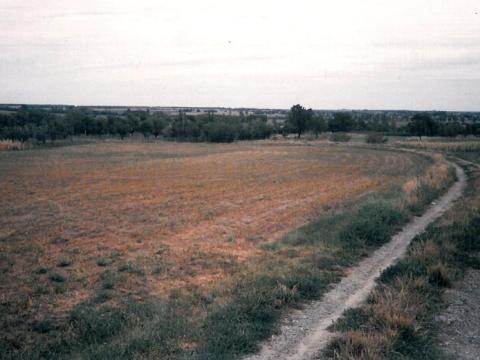Szántóföld eladó Lepsényben a szőlőhegyen