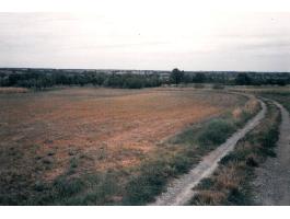 Szántóföld eladó Lepsényben a szőlőhegyen