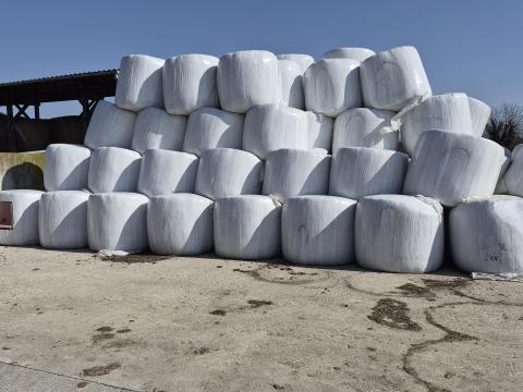 Lucerna szenázs bála eladó