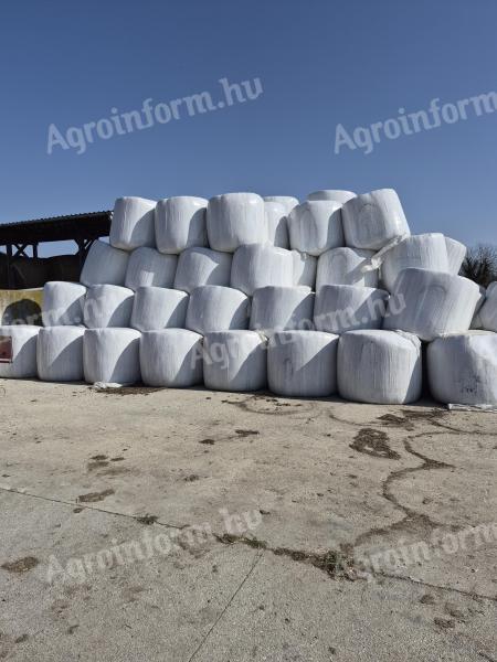 Lucerna szenázs bála eladó