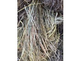 Széna eladó 125x125 méretben – minimum 30 db