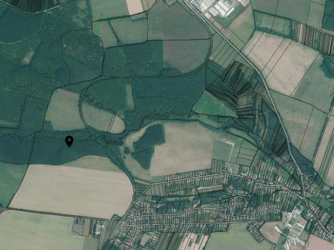 Borsosberény, erdő eladó