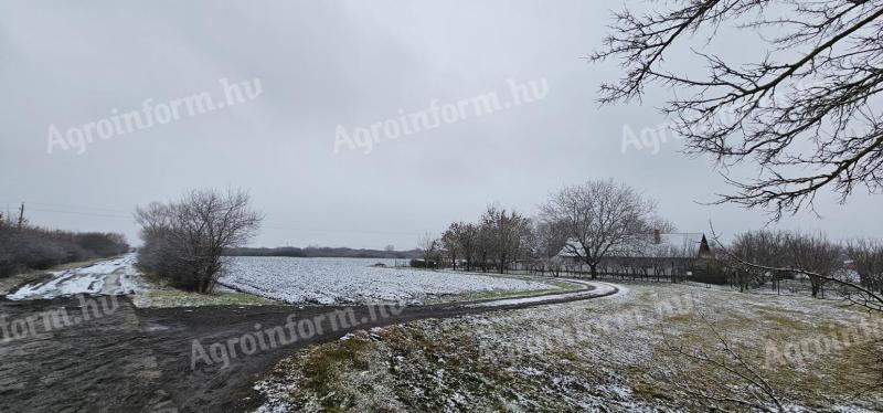 Gyula, Bánom – szántóföld eladó