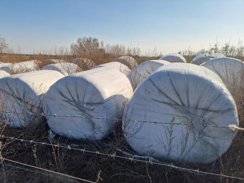 Eladó csomagolt zabos-borsó bálák