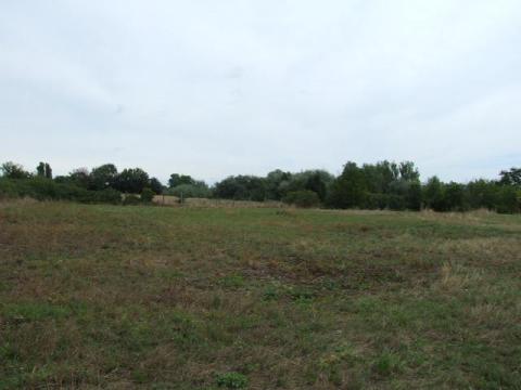 Eleki út – mezőgazdasági terület eladó Gyulán